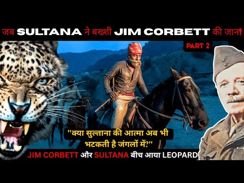 जब SULTANA ने बख्शी JIM CORBETT की जान! "क्या सुल्ताना की आत्मा भटकती है जंगलों में?" #jimcorbett