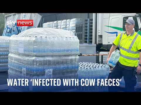 Cow faeces 'leaked into damaged water pipes' in Devon
