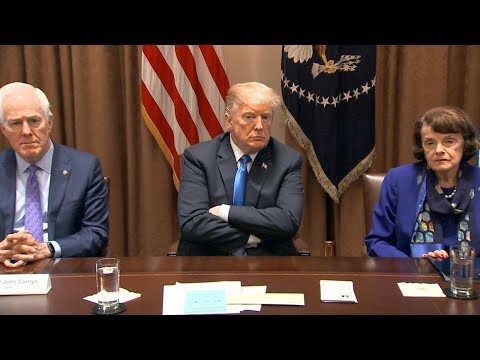 President Donald Trump meets with members of Congress to discuss school safety | ABC News