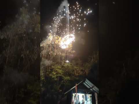 Diwali Celebration #shortsfeed #shortvideos #shorts #minivlog