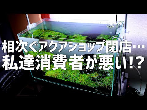 【何故…】アクアショップの閉店は消費者のせい...!?安売りを求めるのは悪なのか。#752【アクアリウム】