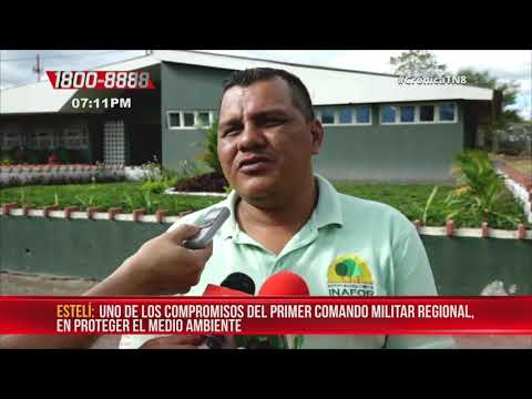 El Ejército instalará 22 viveros forestales en Estelí – Nicaragua