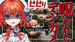 【#呪われたデジカメ 】超絶ビビりがやるホラーゲーム大絶叫実況！【#vtuber 】