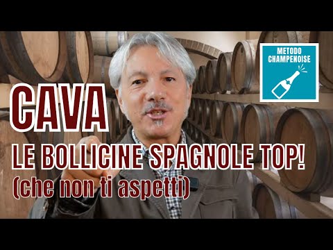 CAVA, le BOLLICINE SPAGNOLE TOP! (che non ti aspetti)