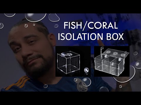Fish Or Coral Acrylic Isolation Box Install On The Check out the new stuff in the 80gal tank!

I am not sponsored by any company below or in this video