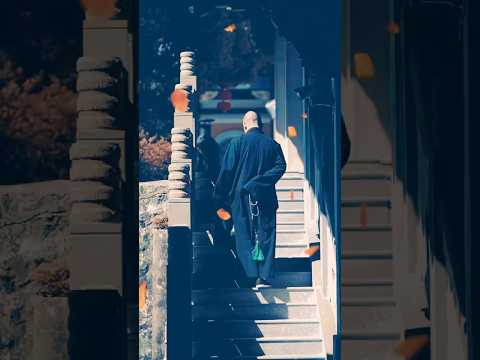 🌸Có Đi Qua Cơn Mưa Mới Biết Thương Ngày Nắng🌸 #phatphap #loiphatday #trietlysong #tamtrang