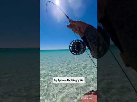 He ate the Hawaiian bonefish fly! #flyfishing #Insta360 #insta360goultra @insta360