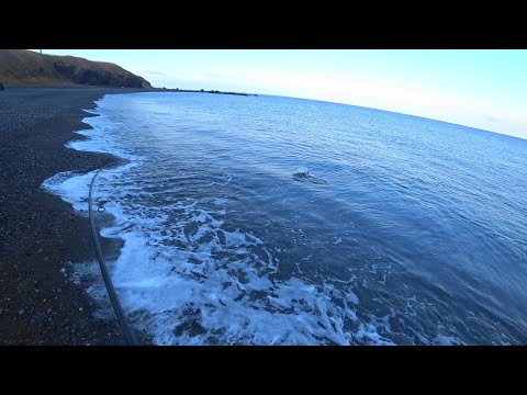 自作ジグ制作(テスト）道南日本海 海サクラマス