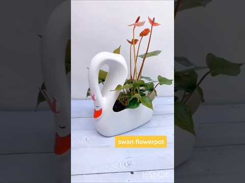 plastic bottle se banaye plant pot🪴#plastic bottle craft ideas #diy  #garden #ytshorts #shorts