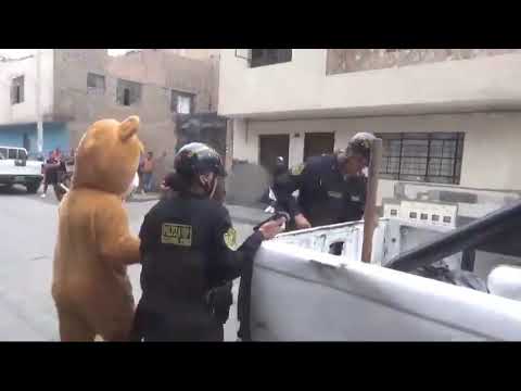 En San Valentín un policía se disfrazó de oso para capturar a un grupo de delincuentes en Perú