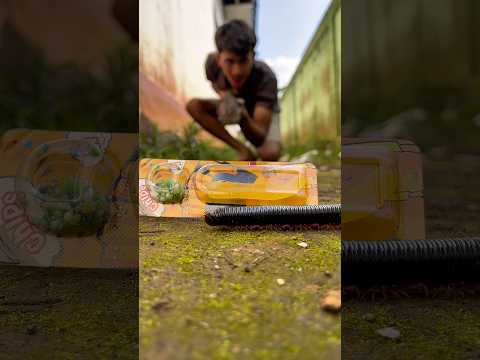 Incredible, by placing this candy, the millipede will surely come out and dance for it#shortvideo