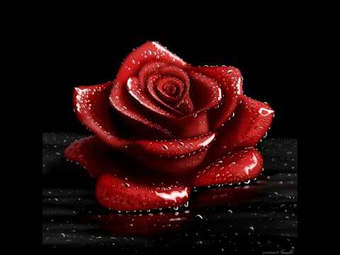 Drawing a Red Rose on Procreate #art #digitalart #procreate #rose