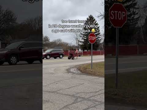 STRANGER CAUGHT MY WHIP BROKE DOWN… thumbnail