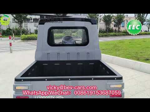 electric cargo trike electric cargo tricycle 3 wheels cargo van from Yunlong Motors