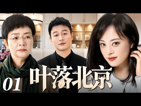 【好看的电视剧】叶落北京 01 | 父母逼婚北漂生存报喜不报忧，亲情爱情在烟火里慢慢归位（孙俪 / 佟大为 / 宋丹丹）