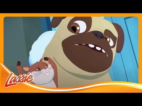 🐶 Dog Helps Save a Snowboarder on the Northern Ridge and more Cartoons for Kids! | Lassie