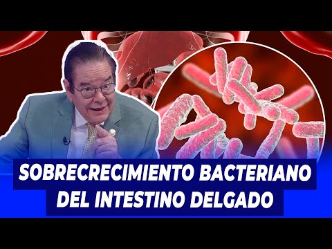 Sobrecrecimiento Bacteriano del Intestino Delgado | Dr. Rafael Gautreau