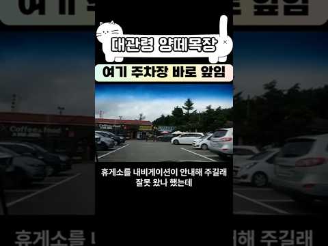 대관령 양떼목장 주차장 가는 방법 #<strong>대관령양떼목장</strong> #대관령휴게소 #주차장 #차박여행