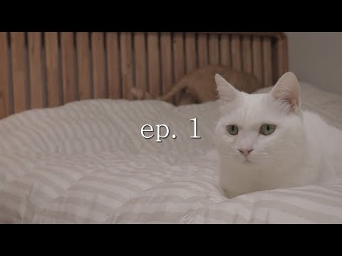ep1. 고민, 정리 그리고 새로운 준비 #브이로그 #vlog #고민