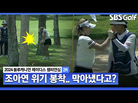 [2024 KLPGA] 위기에 빠진 조아연! 나무 사이에서 벙커? 파 세이브의 위력｜블루캐니언_2R