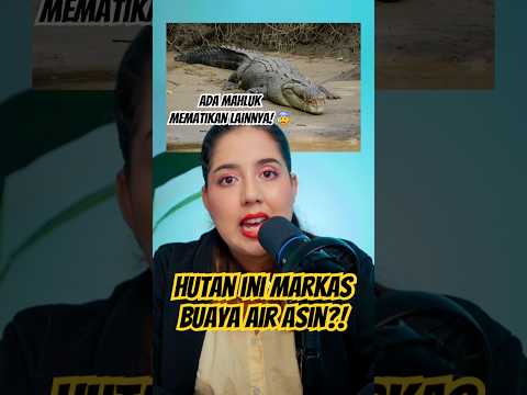 HUTAN TROPIS dengan PENGHUNI BUAS DI DALAMNYA! 😱