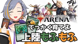 【MTGA】もふもふの育成がしたい【初心者】
