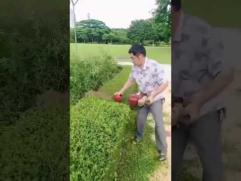 Máy Cắt Tỉa Cây Cảnh Đa Năng #farming