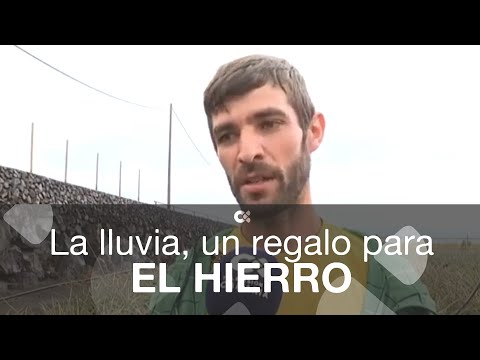 El campo herreño, feliz tras las lluvias del fin de semana