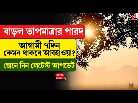Weather Update | বাড়ল তাপমাত্রার পারদ, আগামী ৭দিন কেমন থাকবে আবহাওয়া? জেনে নিন লেটেস্ট আপডেট