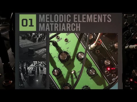 Melodic Elements 01 - Matriarch | Analog Sequences - Loops & MIDIs