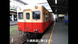 2017年度新歓旅行 房総半島横断の旅