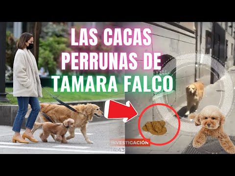 Tamara Falco ENFURECE a sus VECINOS por no RECOGER las CACAS de sus PERROS de la ACERA