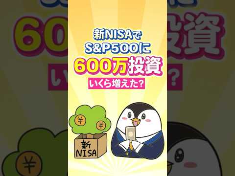 【驚愕】新NISAでS&P500に600万投資したらいくら増えた？