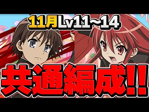 魔法石50個を今すぐゲット！LV11-LV14をシャナ共通編成で攻略！！代用解説！11月クエスト【パズドラ】