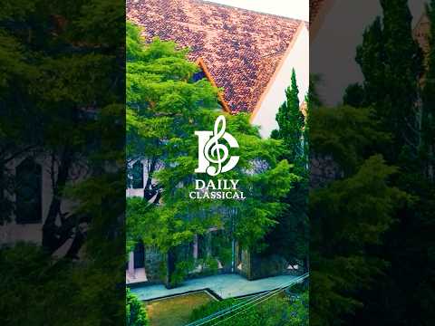 1 Minute of Ultimate Relaxation with Classical Music