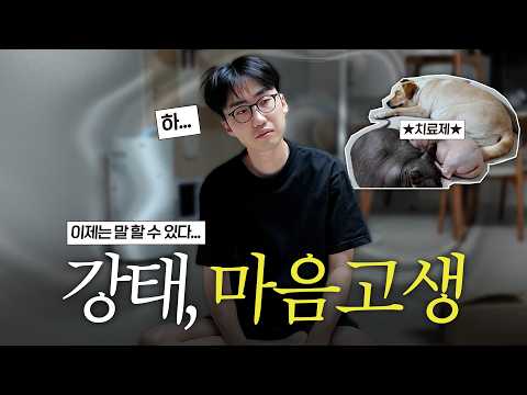 지난해 고소·고발 이후, 강태의 현재｜“포캣멍센터는 왜 구조를 안 나가나요?”