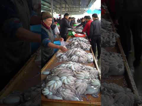 # sea food octopus sold in market