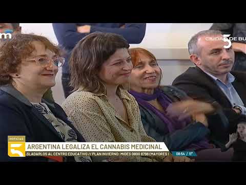 Argentina: avanza la ley que pone en marcha la industria del cannabis para uso medicinal