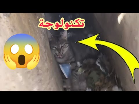 تكنولوجية جديدة واختراع ديال جبالة ممكن تحتاجها