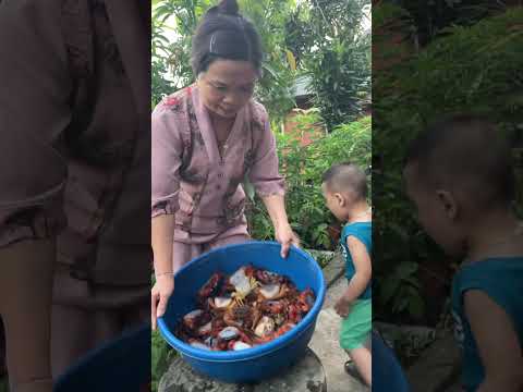 Cua núi #cua #amthuc #thaoduocdantoc #balaithaoduocdantoc