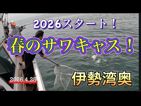 【伊勢湾奥】2026スタート!春のサワキャス!