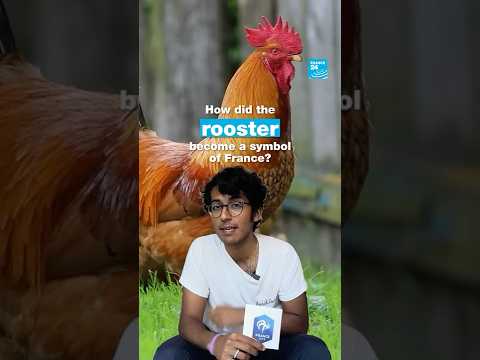 How did the rooster become a symbol of France? • FRANCE 24 English