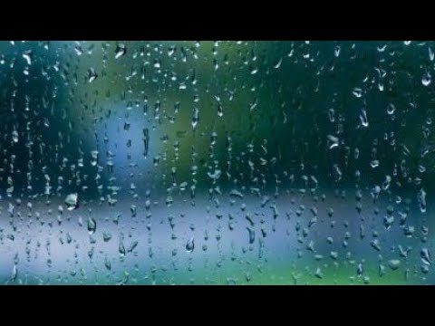 Sonido de agua y pajaros estudiar meditar mente en blanco pensar sonidos relajantes