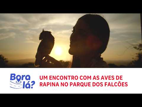 Bora Lá? | Um encontro com as aves de rapina no Parque dos Falcões