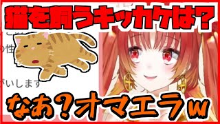 【火之神ひこね】猫を飼うキッカケは？【AXEL-V】