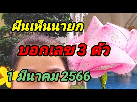 เลขเด็ดครูบาฝันดีให้ได้โชคทุ