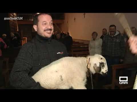 San Antón se acuerda de los corderos | Ancha es Castilla-La Mancha