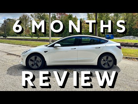 2021 Tesla Model 3 Long Range - 6 Month Review