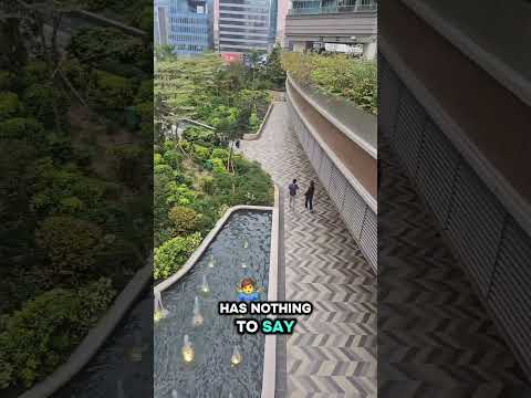 REAL TALKS /MOTIVATIONAL QUOTES #TIKTOKVIDEO #TIKTOKVIRALVIDEO #OFWHONGKONG