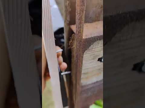 2 декабря 2025 г.